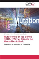 Ana Isabel Barocio Torres, Karlen Lara-Otero, Karlena Lara-Otero, Mónica M. López García, Laura M. Medina Celis, Antonietta Porco Giambra - Mutaciones en los genes BRCA(1/2) y el Cáncer de Mama Hereditario