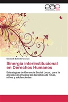 Elizabeth Ballestero Araya - Sinergia interinstitucional en Derechos Humanos