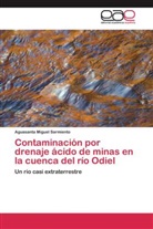 Aguasanta Miguel Sarmiento - Contaminación por drenaje ácido de minas en la cuenca del río Odiel