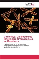 Alvaro Novello - Ctenomys: Un Modelo de Plasticidad Cromosómica en Mamíferos