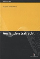 Dr Joachim Kretschmer, Joachim Kretschmer - Ausländerstrafrecht