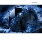Liz Collet - Life's Little Heartlights