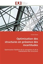 Younes Aoues, Aoues-Y - Optimisation des structures en
