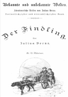 Jules Verne - Der Findling