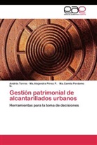 Ma Perdomo G, Ma. Camila Perdomo G., Ma.Camila Perdomo G., Ma Alejandr Pérez P, Ma Alejandra Pérez P, Ma. Alejandra Pérez P.... - Gestión patrimonial de alcantarillados urbanos