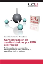 Teresa Blasco, Manue Sánchez-Sánchez, Manuel Sánchez-Sánchez - Caracterización de zeolitas básicas por RMN e infrarrojo