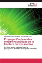 Ricardo Pérez Peña, Juan Adria Reyes Cervantes, Juan Adrian Reyes Cervantes - Propagación de ondas electromagnéticas en la frontera de tres medios