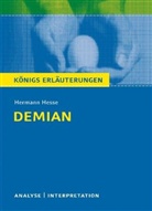 Hermann Hesse - Hermann Hesse 'Demian'