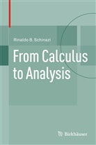 Rinaldo B Schinazi, Rinaldo B. Schinazi - From Calculus to Analysis
