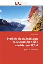 Borhen Dridi, Dridi-B - Systeme de transmission mimo