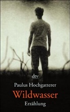 Paulus Hochgatterer - Wildwasser