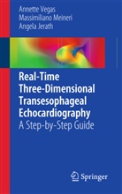 Jerath, Angel Jerath, Angela Jerath, Meiner, Massimilian Meineri, Massimiliano Meineri... - Real-Time Three-Dimensional Transesophageal Echocardiography