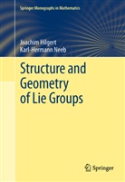Joachi Hilgert, Joachim Hilgert, Karl-Hermann Neeb - Structure and Geometry of Lie Groups