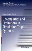 Asuka Suzuki-Parker - Uncertainties and Limitations in Simulating Tropical Cyclones