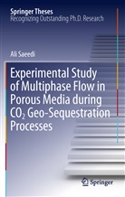 Ali Saeedi - Experimental Study of Multiphase Flow in Porous Media during CO2 Geo-Sequestration Processes