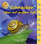 Fischer-Nage, Fischer-Nagel, Andreas Fischer-Nagel, Heideros Fischer-Nagel, Heiderose Fischer-Nagel, Heiderose und Andreas Fischer-Nagel... - Schnecken