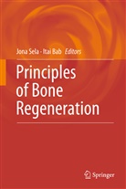 A Bab, A Bab, Itai Bab, Itai A. Bab, Jon J Sela, Jona J Sela... - Principles of Bone Regeneration