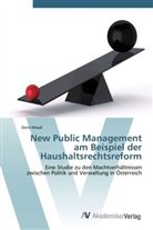 Doris Masal - New Public Management am Beispiel der Haushaltsrechtsreform