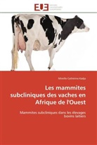 Mireille Cathérine Kadja, Kadja-M - Les mammites subcliniques des
