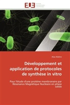 Alaa Abdine, Abdine-A - Developpement et application de