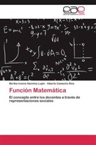 Alberto Camacho Ríos, Bertha Ivonn Sánchez Luján, Bertha Ivonne Sánchez Luján - Función Matemática