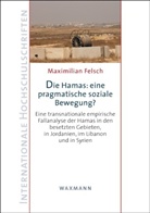Maximilian Felsch - Die Hamas: eine pragmatische soziale Bewegung?