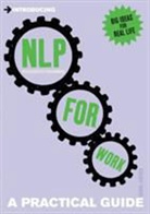 Dianne Lowther - Introducing NLP for Work: A Practical Guide