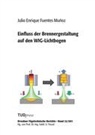 Julio Enrique Fuentes Muñoz - Einfluss der Brennergestaltung auf den WIG-Lichtbogen