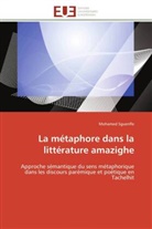 Mohamed Sguenfle, Sguenfle-M - La metaphore dans la litterature