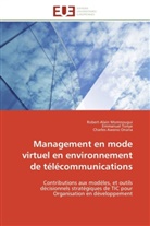 Awono Onan, Charles Awono Onana, Collectif, Robert-Alai Momnougui, Robert-Alain Momnougui, Emmanue TONYE... - Management en mode virtuel en
