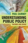 Paul Cairney - Understanding Public Policy