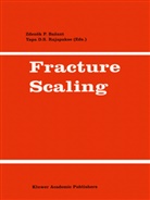 Yapa D. S. Rajapakse, Zdenek P. Bazant, Y. Rajapakse - Fracture Scaling