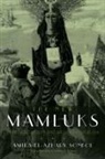 Amira El Azhary Sonbol, Amira El-Azhary Sonbol - New Mamluks