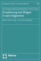 Heinrich Degenhart, Bernhard Hohlbein, Thomas Schomerus - Einspeisung von Biogas in das Erdgasnetz