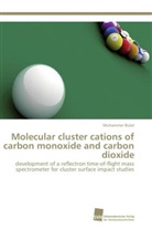 Muhammer Bulat - Molecular cluster cations of carbon monoxide and carbon dioxide
