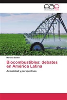 Mariana Saidón - Biocombustibles: debates en América Latina