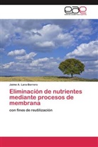 Jaime A Lara-Borrero, Jaime A. Lara-Borrero - Eliminación de nutrientes mediante procesos de membrana
