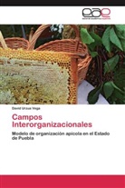 David Urzua Vega - Campos Interorganizacionales