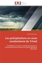 Laohote Baohoutou, Baohoutou-l - Les precipitations en zone