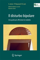 9788847008489, Massimo Clerici, Peter Hayward, Peter (Bethlem Royal Hospital) Hayward, Steven Jones, Steven (Oxford Internet Institute UK) Jones... - Il disturbo bipolare