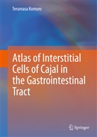 Terumasa Komuro - Atlas of Interstitial Cells of Cajal in the Gastrointestinal Tract