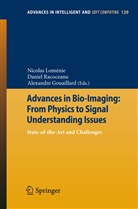 Alexandre Gouaillard, Nicolas Loménie, Danie Racoceanu, Daniel Racoceanu - Advances in Bio-Imaging: From Physics to Signal Understanding Issues