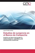 Josué Portilla Casillas - Estudios de surgencia en el Banco de Campeche