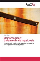 Jairo Báez - Comprensión y tratamiento de la psicosis