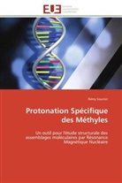 Rémy Sounier, Sounier-R - Protonation specifique des methyles