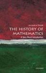Jacqueline Stedall - The History of Mathematics