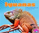 Megan C. Peterson, Megan Cooley Peterson - Iguanas