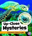 Kristen McCurry - Up-Close Mysteries