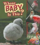 Julie Murphy - Whose Baby Is This?
