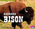 Steve Potts - American Bison